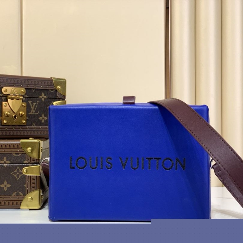 LV Box Bags
